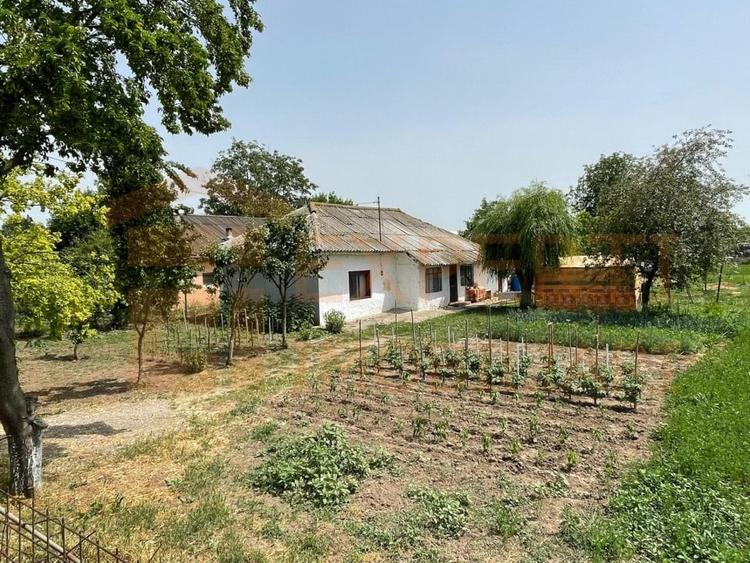 Teren Construcții intravilan de 2581 mp, în Mihail Kogălniceanu