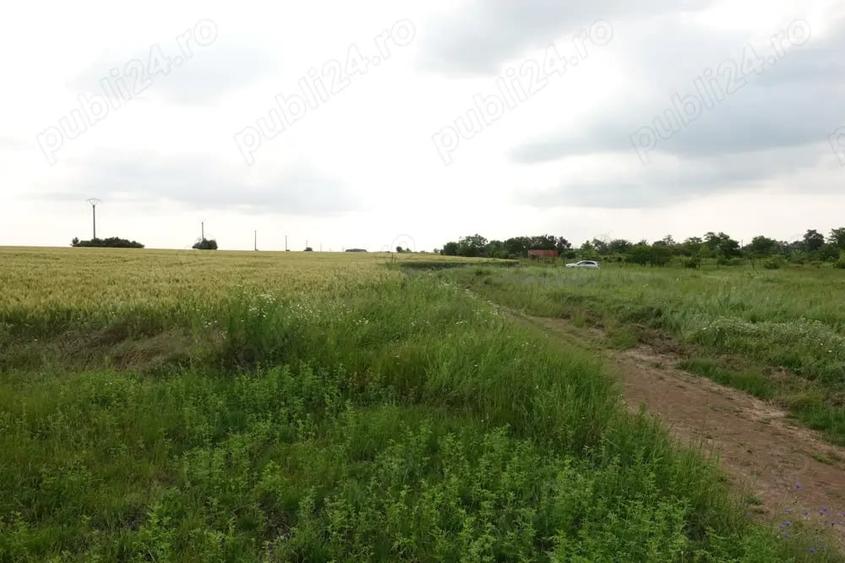 Teren de 10100 mp, în Tâncăbești