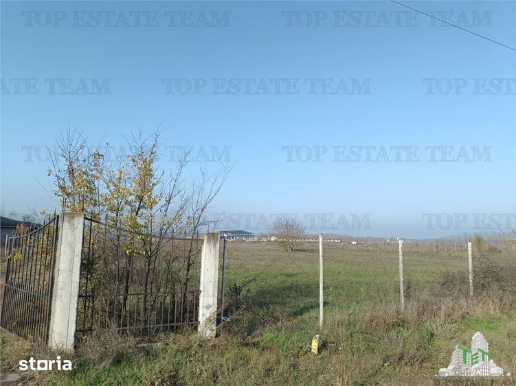 Teren de 8050 mp, în Gruiu