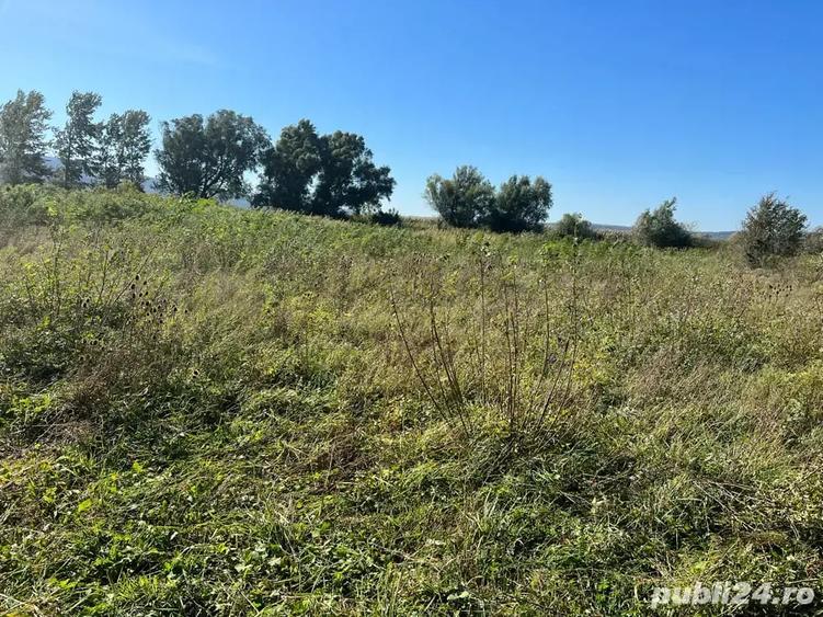Teren de 3300 mp, în Central