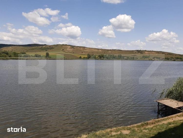 Oportunitate investitionala-Proprietate cu lac privat in Geaca - 10