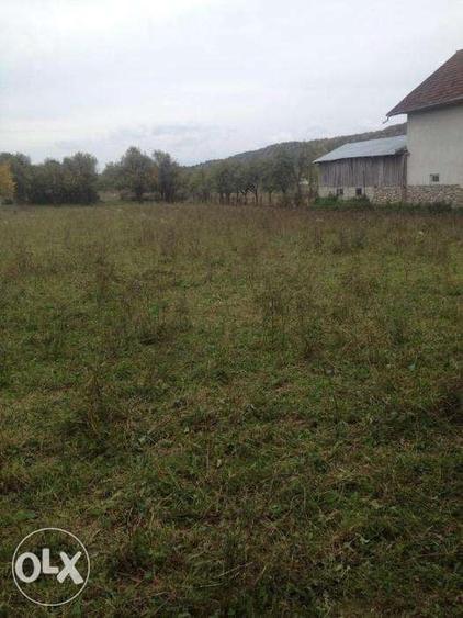 Teren de 12000 mp, în Pociovaliștea