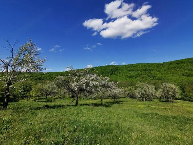 Teren de 680 mp, în Budeasa