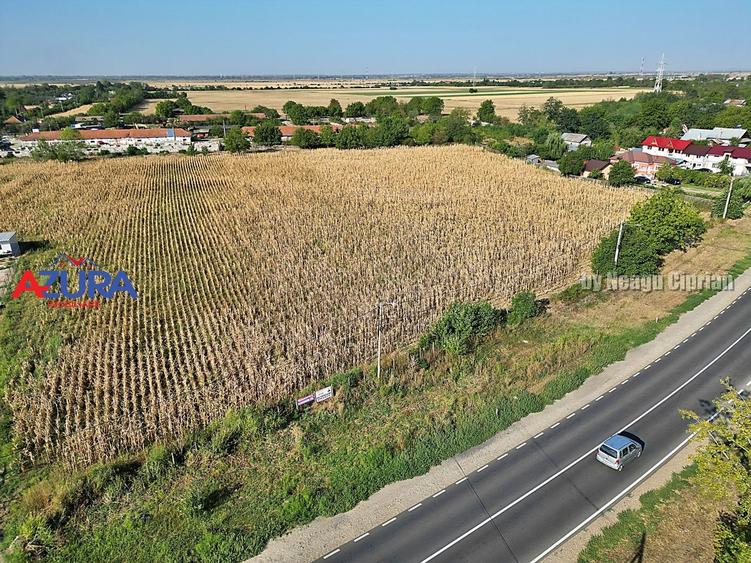 Teren Construcții intravilan de 7976 mp, în Crângurile