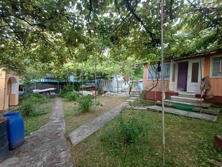 casa  cu 6500mp teren intravilan - 9
