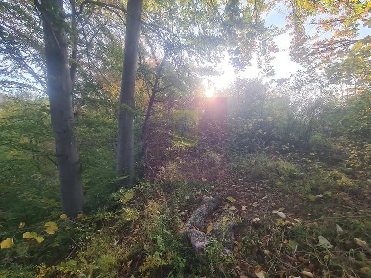 Teren de 3092 mp, în Telega