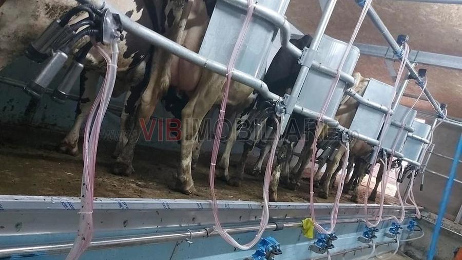Teren de 2000000 mp, în Cenad