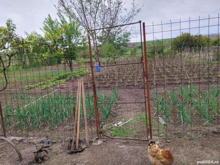 Casă cu 6 camere cu Teren 1000 Mp în Turnu Măgurele