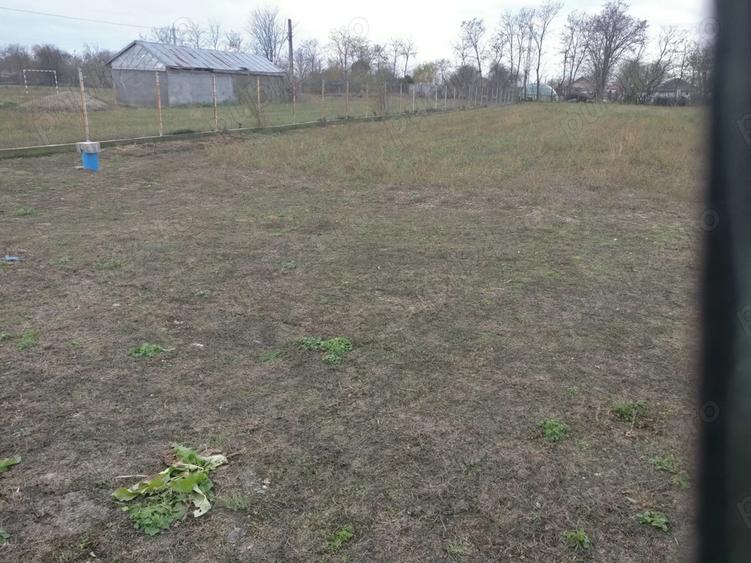 Teren de 3000 mp, în Urleasca