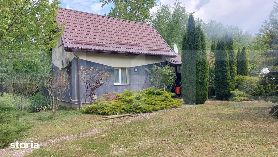 Casa cu teren de 8.570 mp cu iaz si livada I Bacel - 2