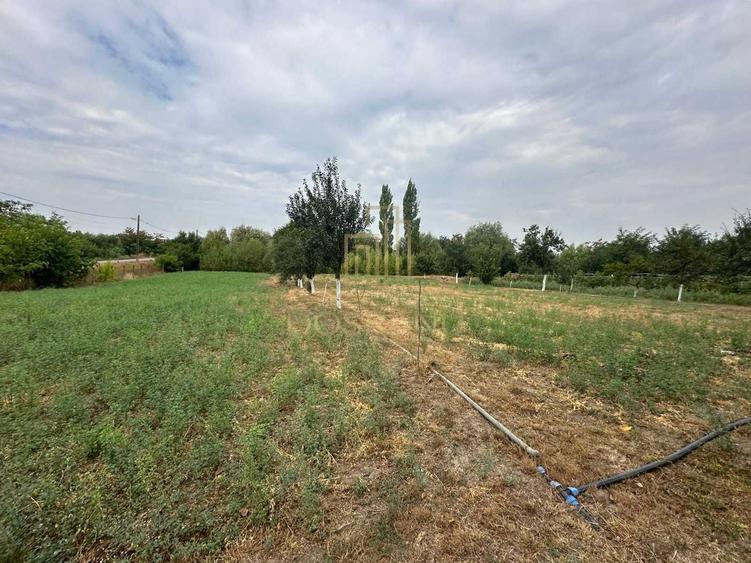 Casă individuală cu 6 camere cu Canalizare în Ciumeghiu