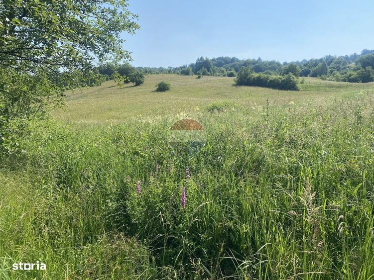 Teren 4,306mp Vama Buzaului langa Cascada Urlatoarea - 3