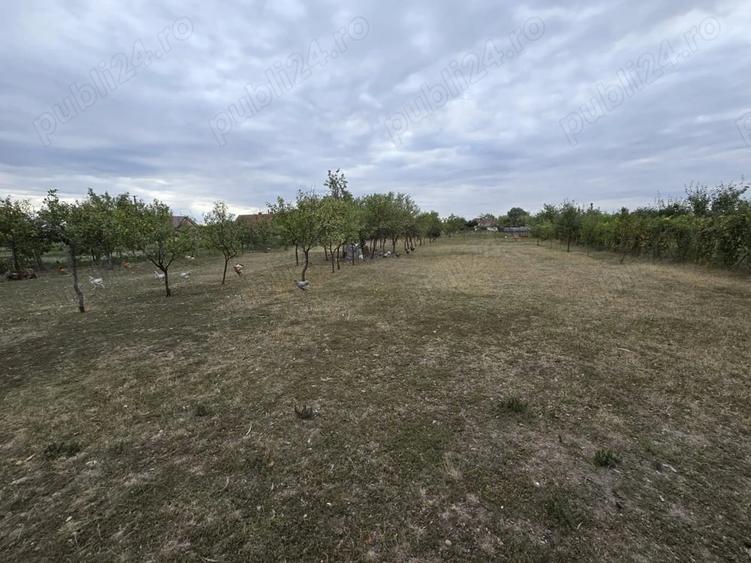 Vand casa sat Turnu, Jud. Arad - 2