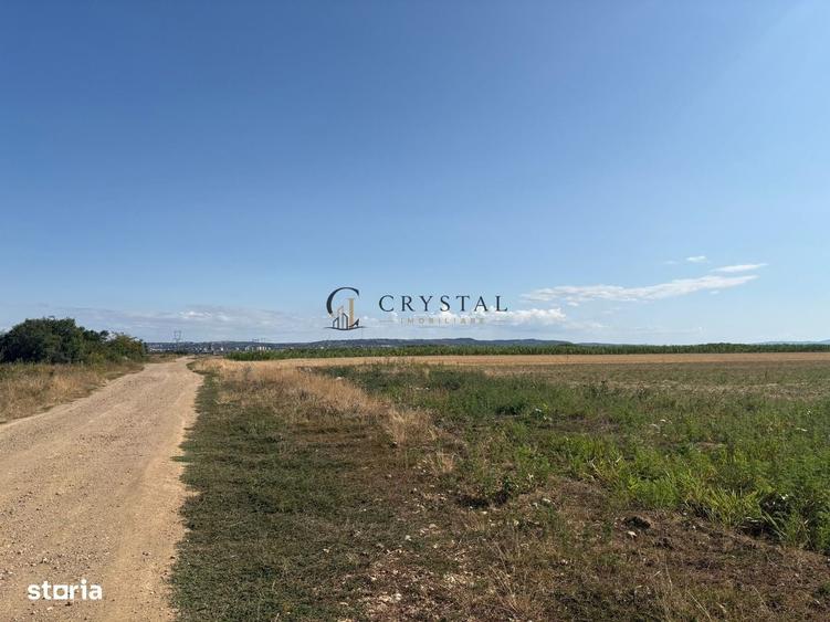 Oportunitate de investitie - Teren intravilant | 11.955 mp | Cihei - 3