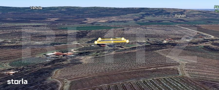 Teren de 2618 mp, în Plopu