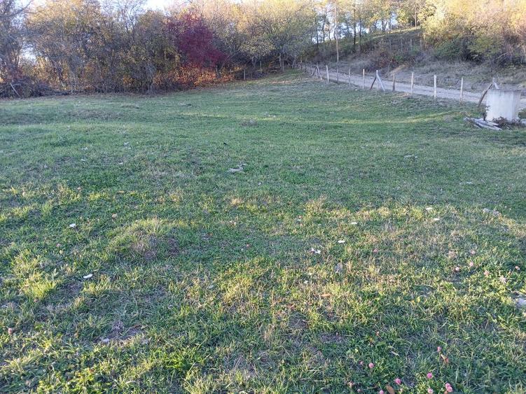 Teren Construcții intravilan de 4377 mp, în Brăduleț