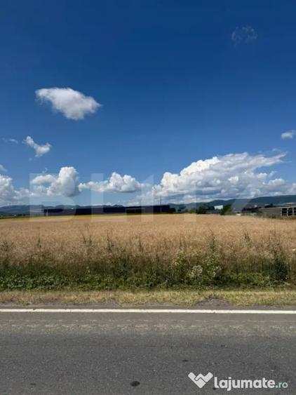 Teren de 20000 mp, în Central