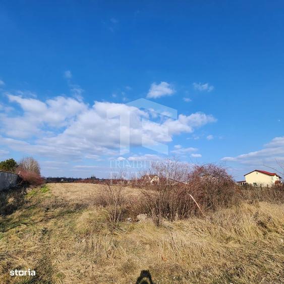 Spațiu comercial, în Tâncăbești