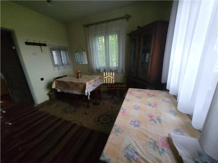 Casa Orheienilor! - 14