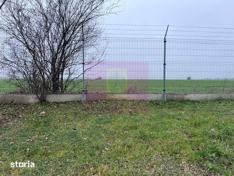 Teren de 13853 mp, în Ciorogârla