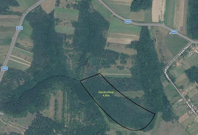 Teren de 174000 mp, în Buteni