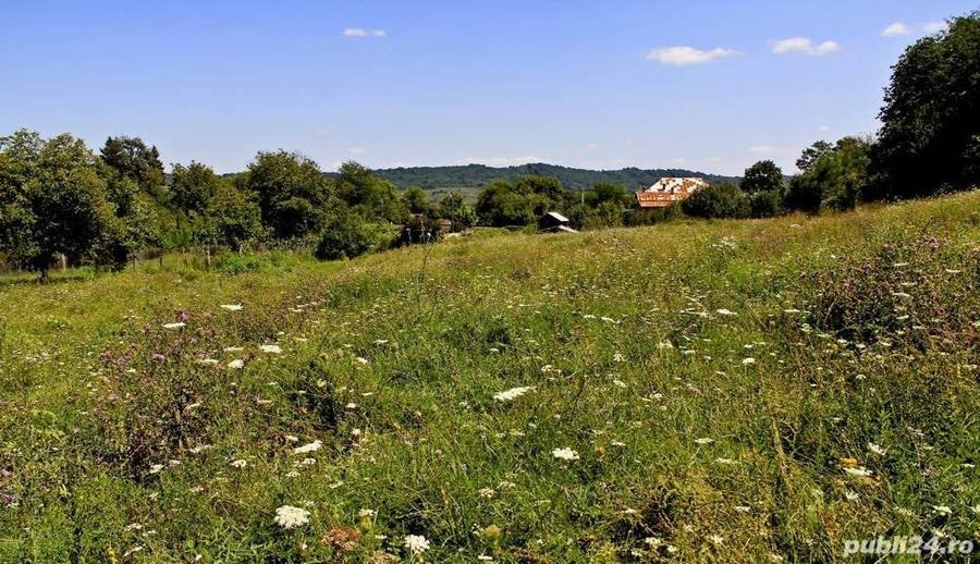 Teren de 50000 mp, în Zătreni