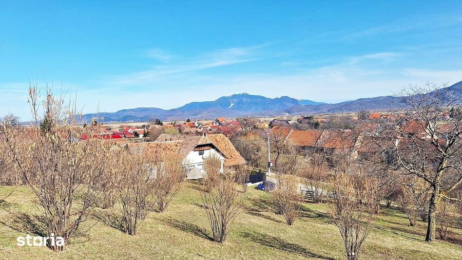 Teren de 17000 mp, în Central
