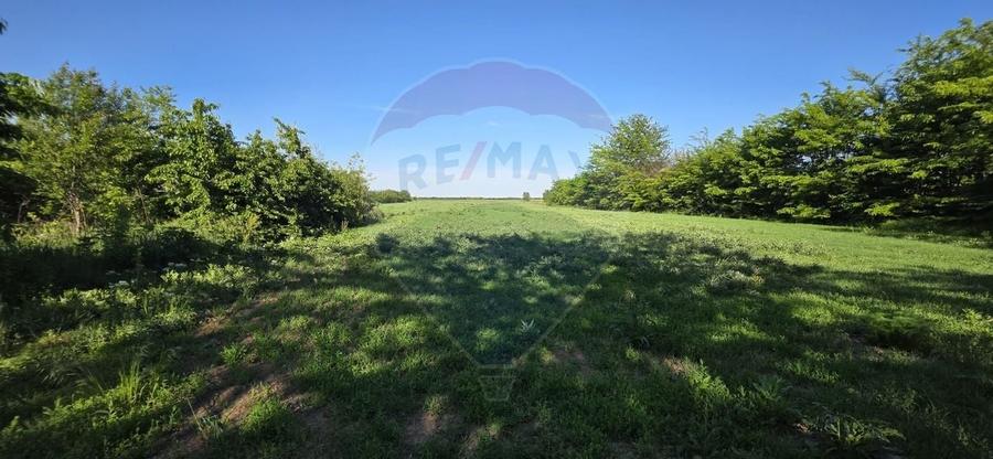 Teren Construcții intravilan de 9458 mp, în Cornești