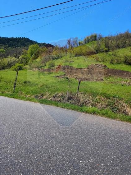 Teren de 4780 mp, în Vad