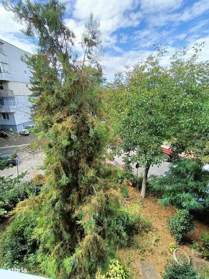 Apartament 2 camere cu balcon in Targu Mures - 11