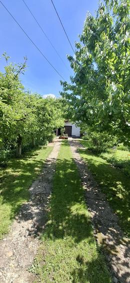 Proprietar vand casa in Valea Lupului pozitie excelenta, gradina superba si potential comercial - 8