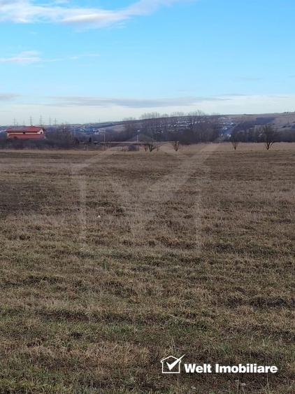 Teren Construcții intravilan de 8500 mp, în Jucu