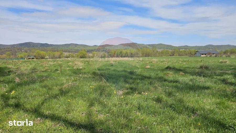 Teren de 10000 mp, în Vânători-Neamț
