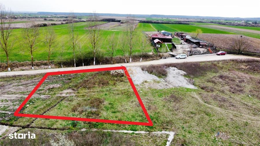 VIDEO | Investitie sigura | Teren intravilan de 500 mp in Madaras - 3