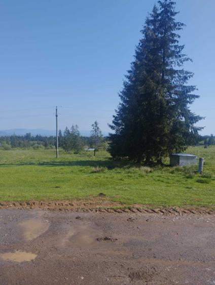 Teren de 1000 mp, în Beliș