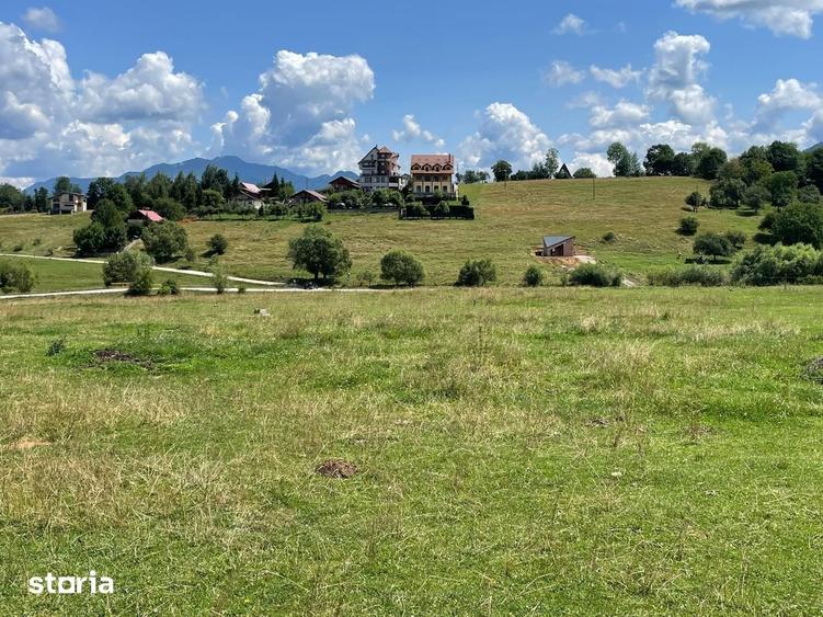 Teren de 5000 mp, în Rucăr