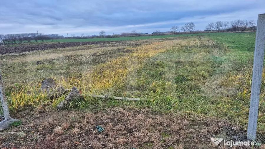 Teren de 1500 mp, în Odoreu