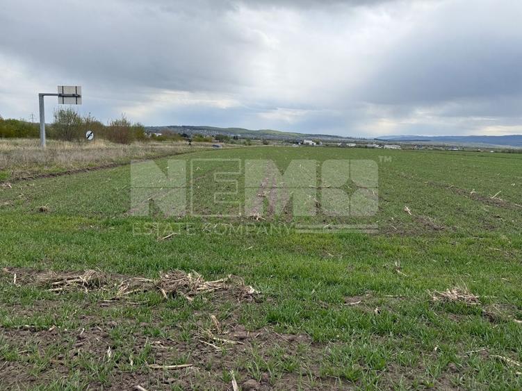 Teren agricol extravilan de 5063 mp, în Horodnic de Sus