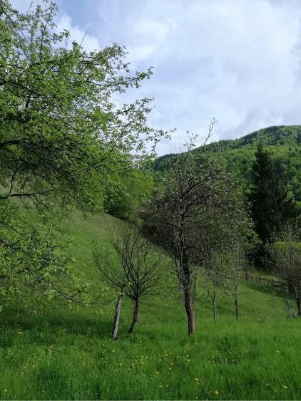 Teren de 3860 mp, în Podu Dâmboviței