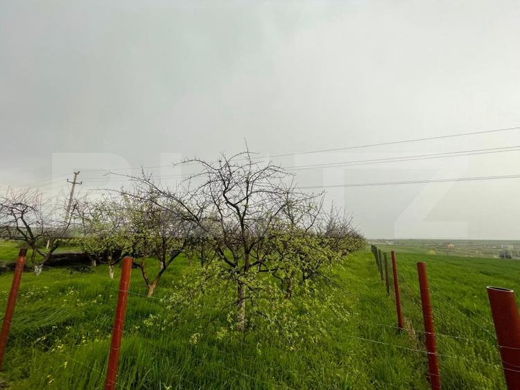 Teren Construcții intravilan de 4447 mp, în Exterior Est