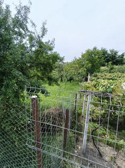 Teren de 162 mp, în Doicești