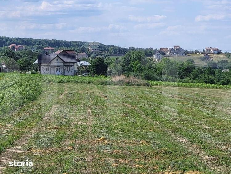 Teren de 3600 mp, în Curtești