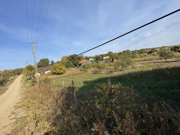 Casă cu 3 camere în Rusca