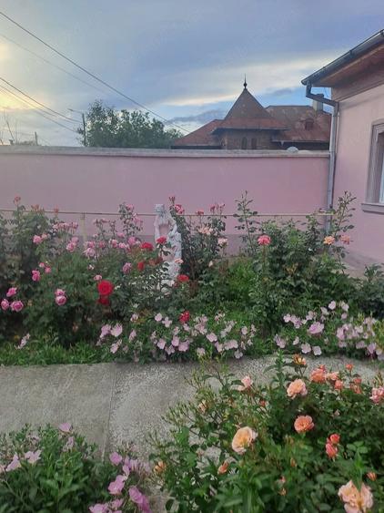 Casă cu Teren 1000 Mp în Central