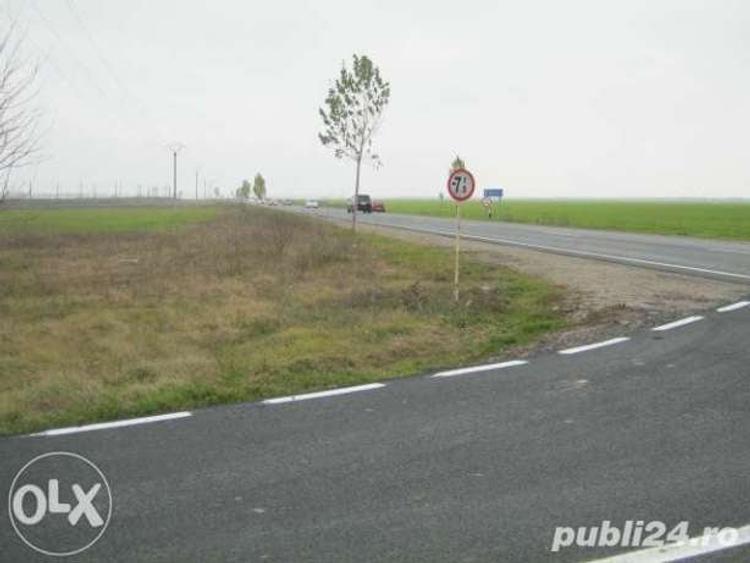 Teren de 15000 mp, în Tișița