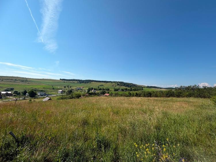 Teren Construcții intravilan de 3834 mp, în Vultureni
