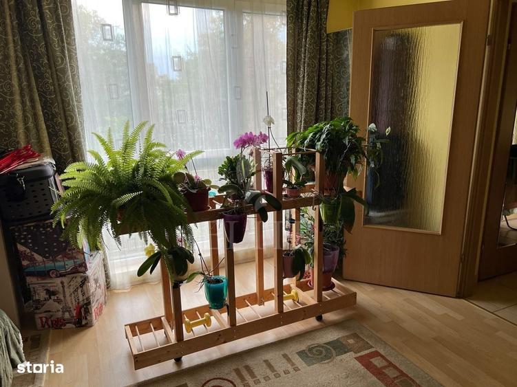 Garsonieră decomandată în Vest