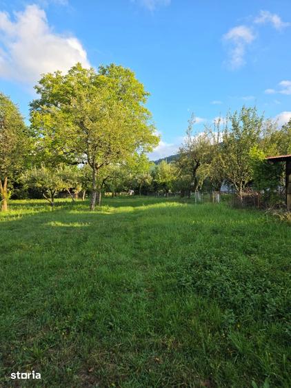 Teren de 2500 mp, în Central