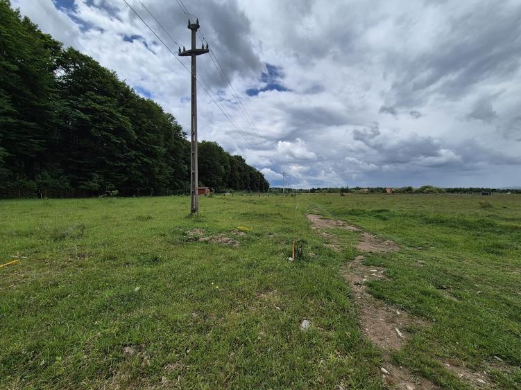 Teren Construcții intravilan de 1000 mp, în Sâmbăta de Sus