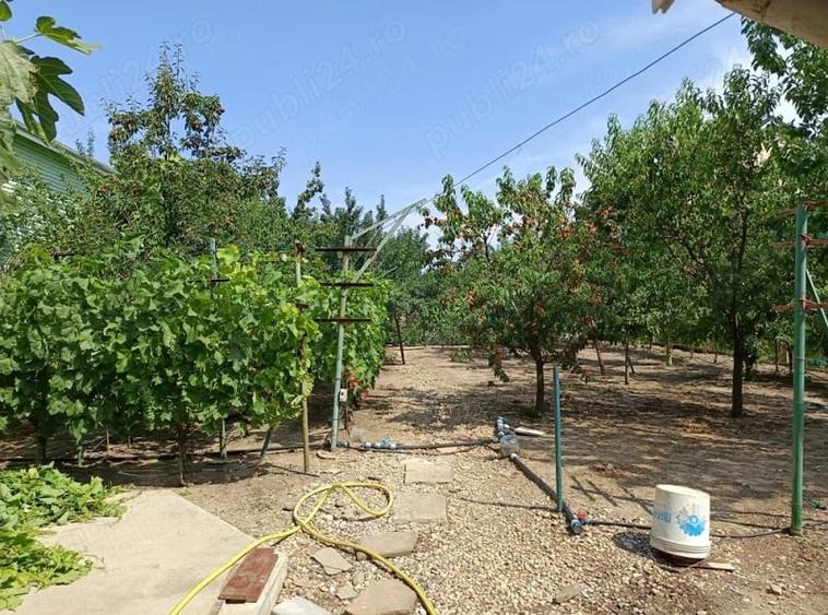 Casă cu 3 camere cu Teren 1000 Mp în Central